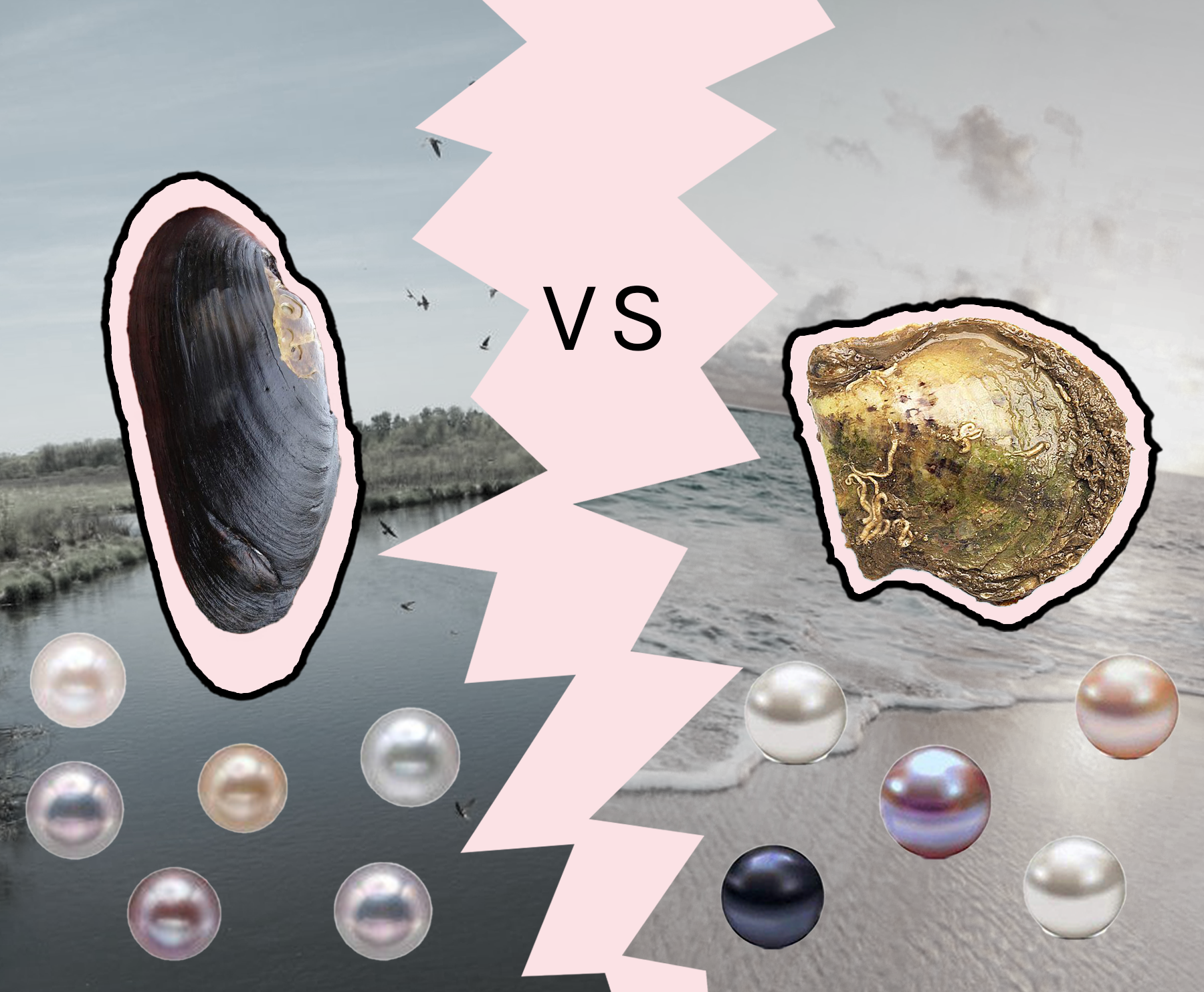 Cultured pearl, Natural vs. Cultured, Care & Value