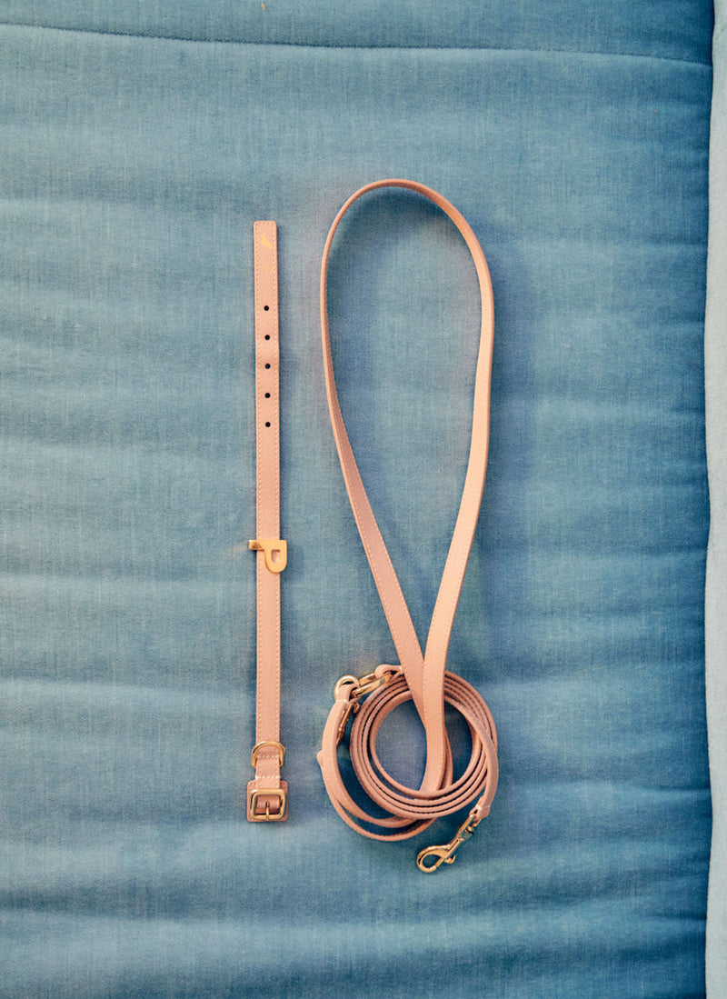 Collar