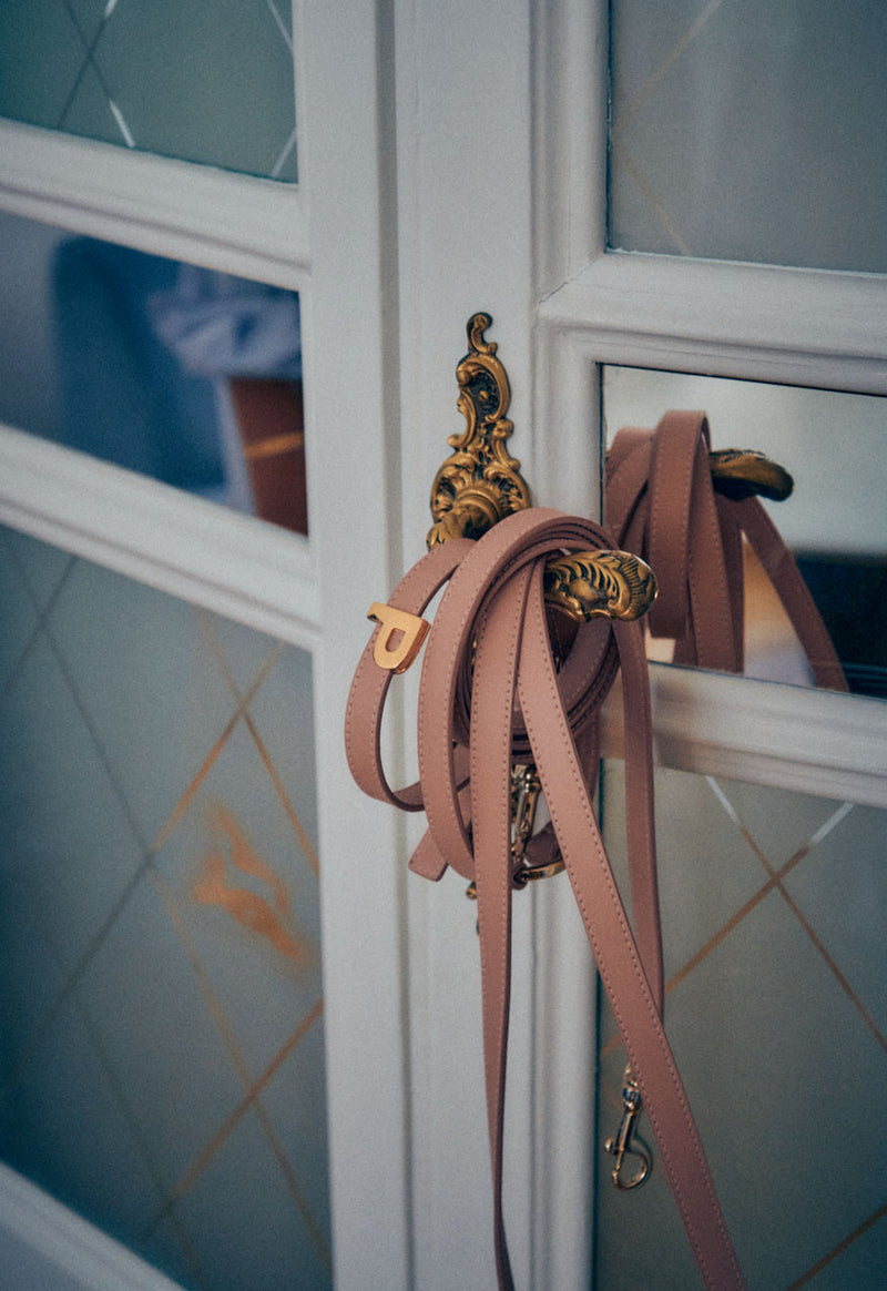 Collar